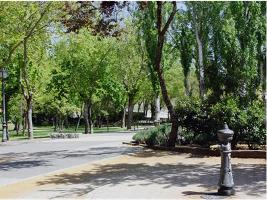 Parque El Vivero